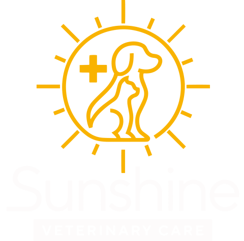 Vet Appointment in Diamond Bar CA - Sunshine Veterinary Care