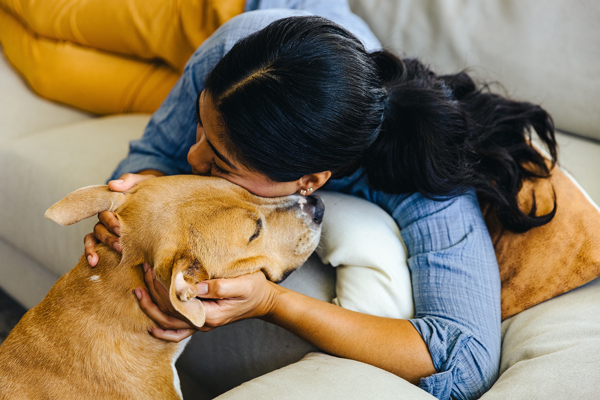 pet owner embracing a dog on couch in diamond bar california