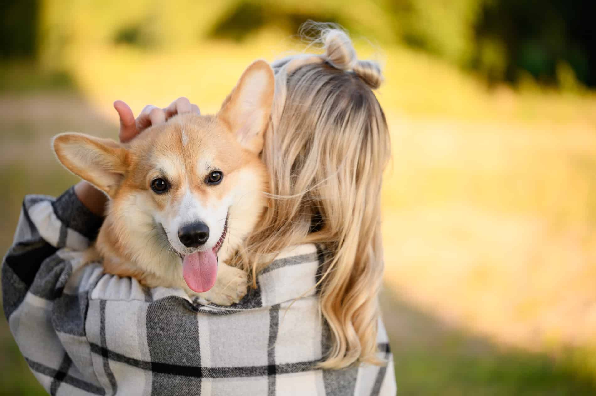 Dog and owner after parasite prevention appointment at Sunshine Veterinary Care